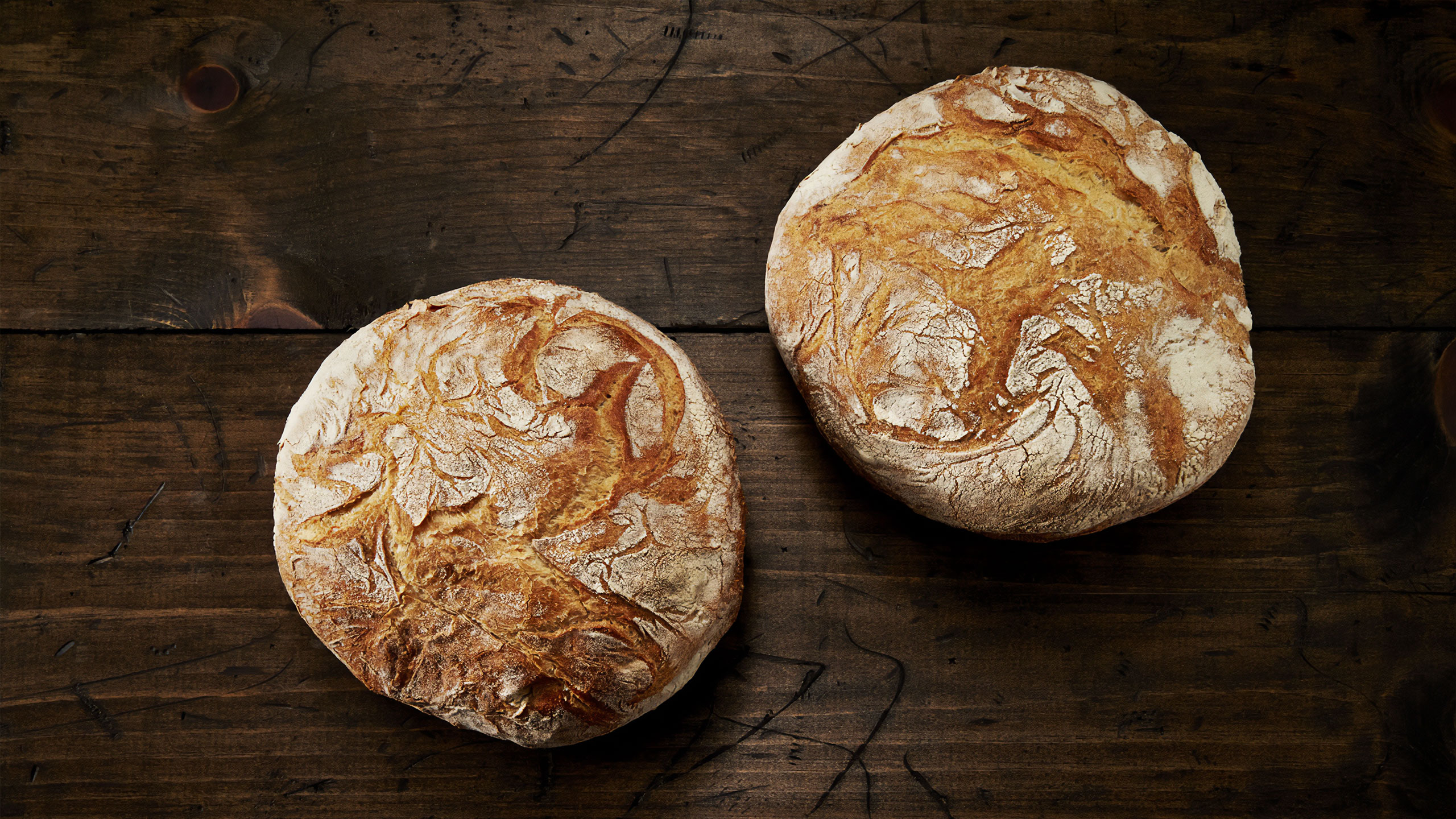 Rustic Italian Round - Crest Hill Bakery